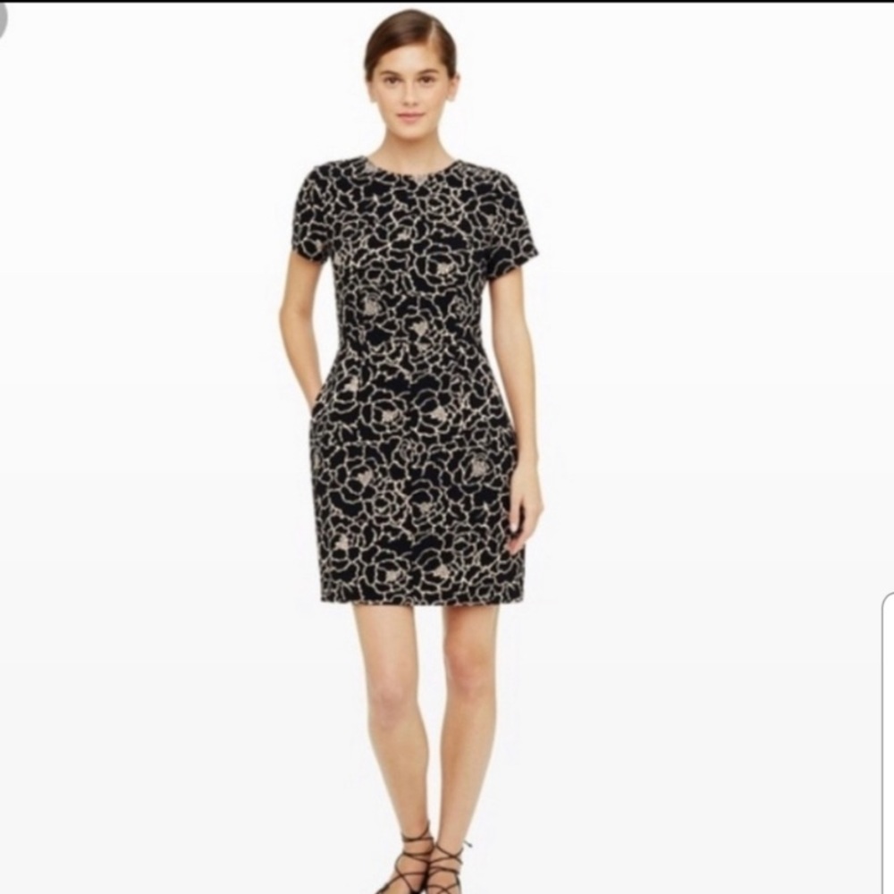 Club Monoco Willa Dress Black Beige Floral SZ 00